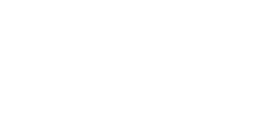 digitalspot webdesign